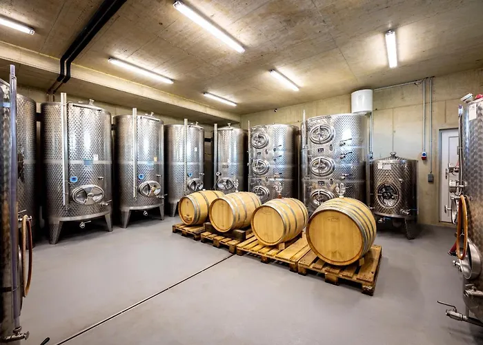 Weingut-Gaestehaus Birnstingl