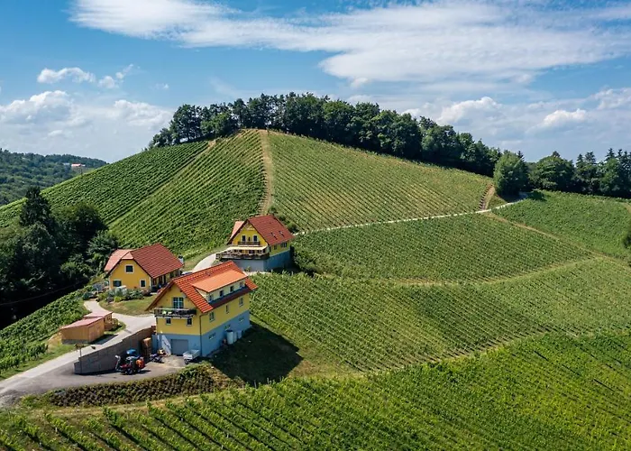 Weingut-Gaestehaus Birnstingl