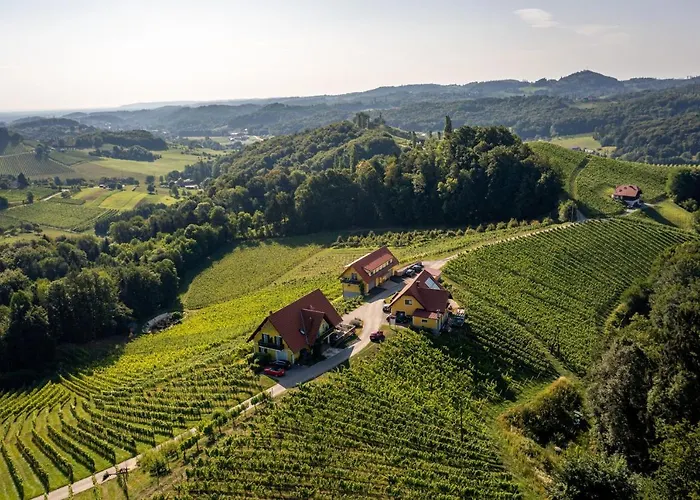 Weingut-Gaestehaus Birnstingl