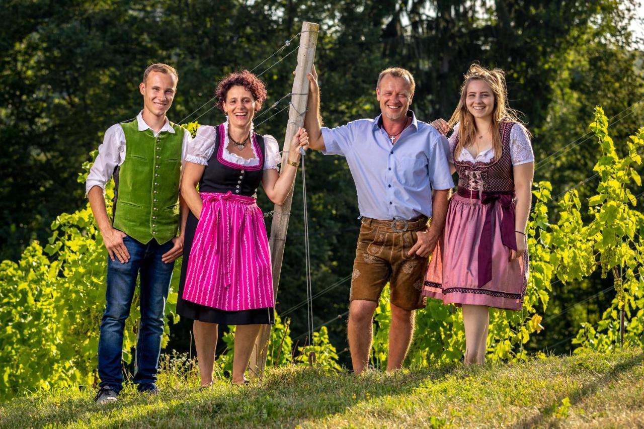 Homestay Weingut-Gaestehaus Birnstingl