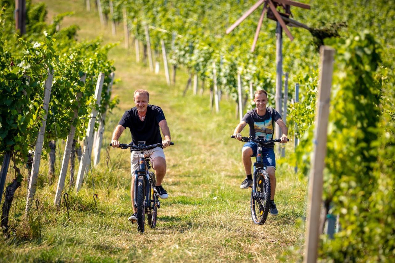Weingut-Gaestehaus Birnstingl Homestay *