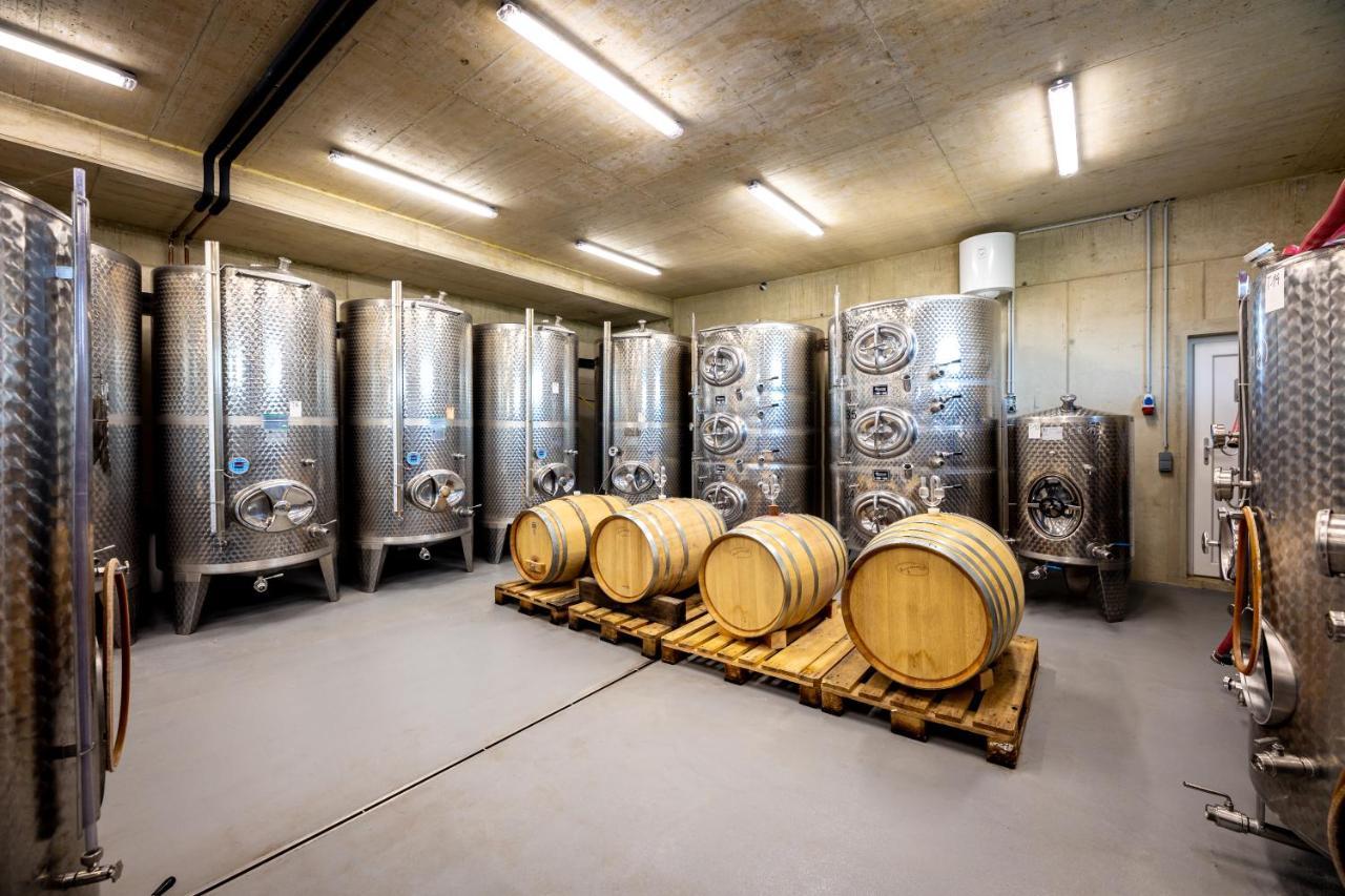 Homestay Weingut-Gaestehaus Birnstingl Gamlitz