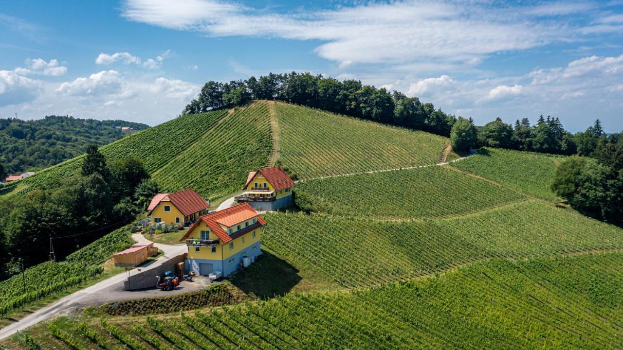 Weingut-Gaestehaus Birnstingl Gamlitz