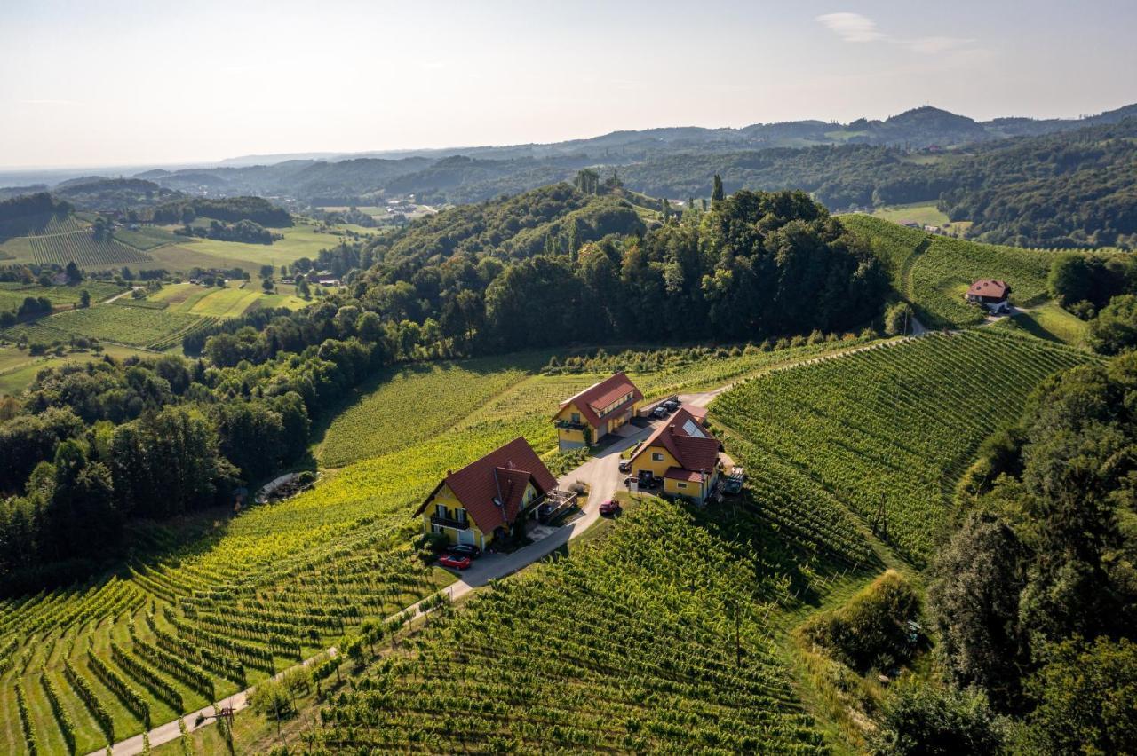 Weingut-Gaestehaus Birnstingl Homestay *