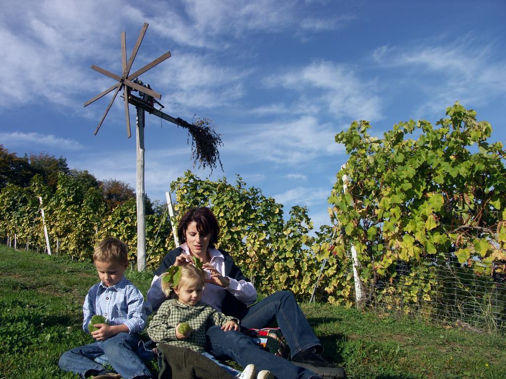 Weingut-Gaestehaus Birnstingl *